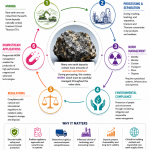 The Hidden Challange in Rare Earth Supply Chains
